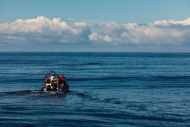 Chefs argentinos impulsan una ley de trazabilidad de la pesca para combatir la pesca ilegal